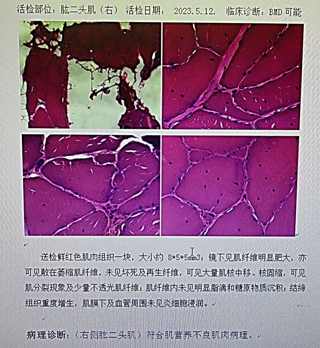 1690425291326499.png 117.png